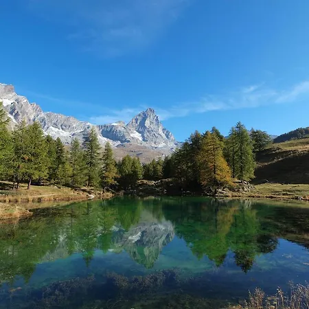 Lejlighed Alpine Bliss A Cosy Retreat